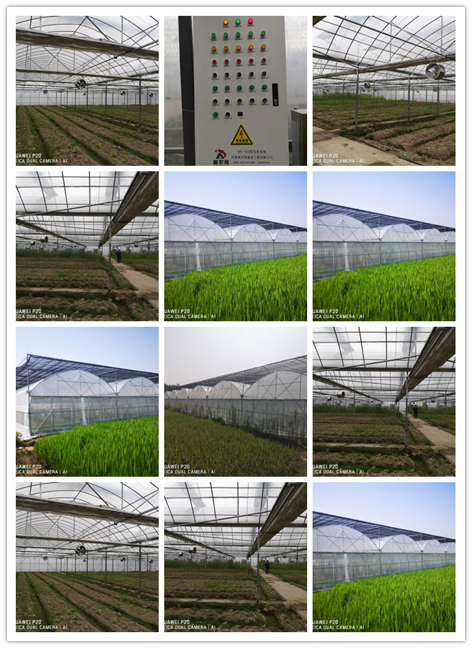 浙江省湖州農(nóng)校連棟智能薄膜溫室大棚