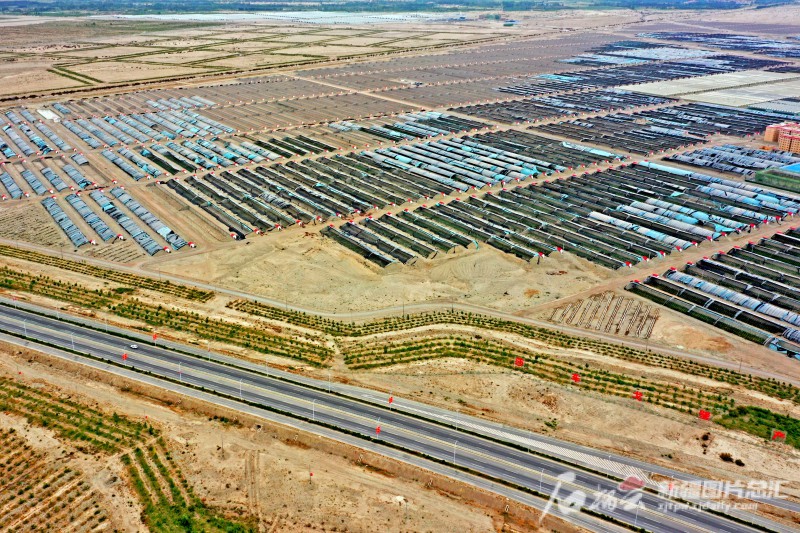 莎車縣戈壁產業園里，3000座溫室大棚成為荒灘上最具活力的地方。天山網-新疆日報記者 蔡增樂 攝